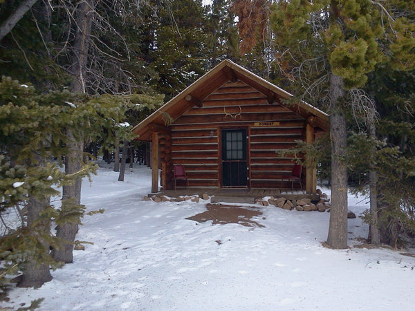 Forest Cabin