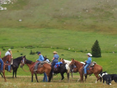 All Day Horseback Ride (4-8 hrs)