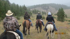 Half Day Horseback Ride (2-4 hrs)